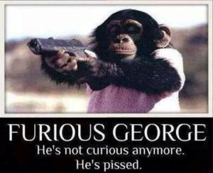 10552638_10206338296765380_5838962636773964163_n