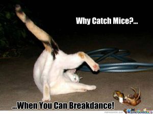 break-dancing-cat_o_839686