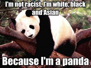 racist panda