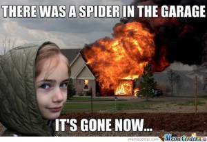 disaster girl meme 1