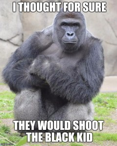 harambe